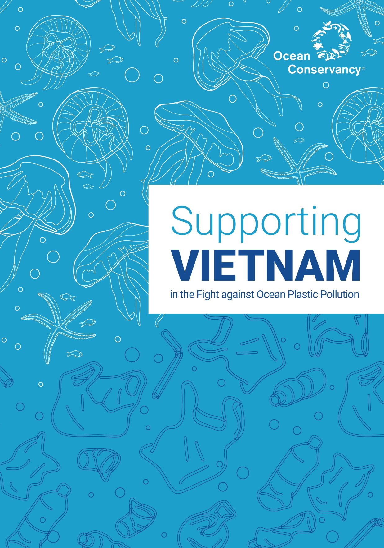 Supporting Vietnam in the Fight against Ocean Plastic Pollution - February 2021