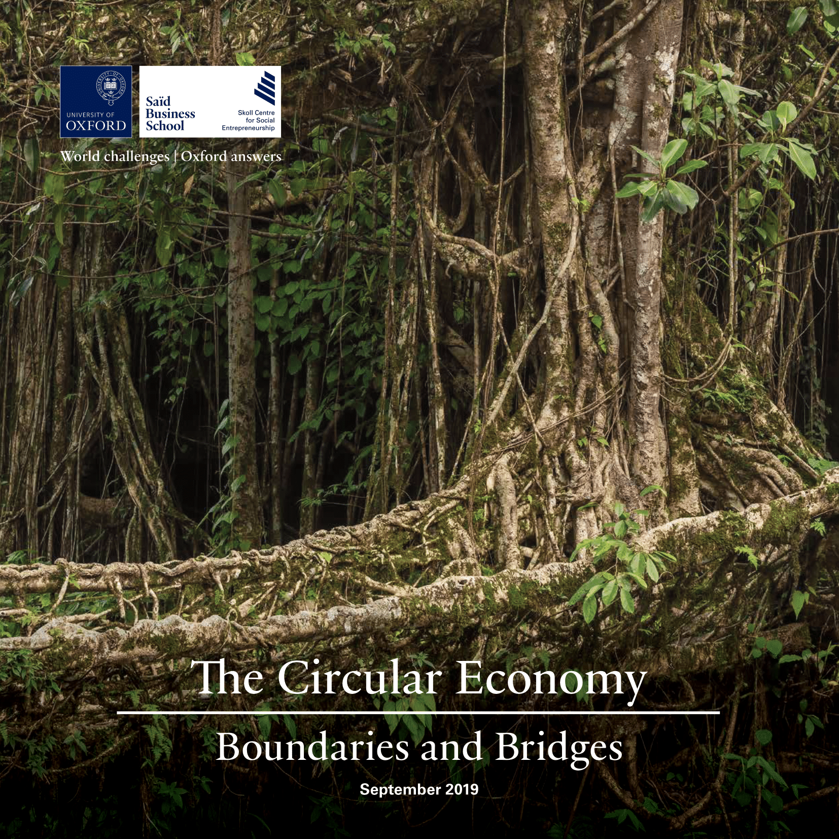 The Circular Economy Boundaries and Bridges - September 2019
