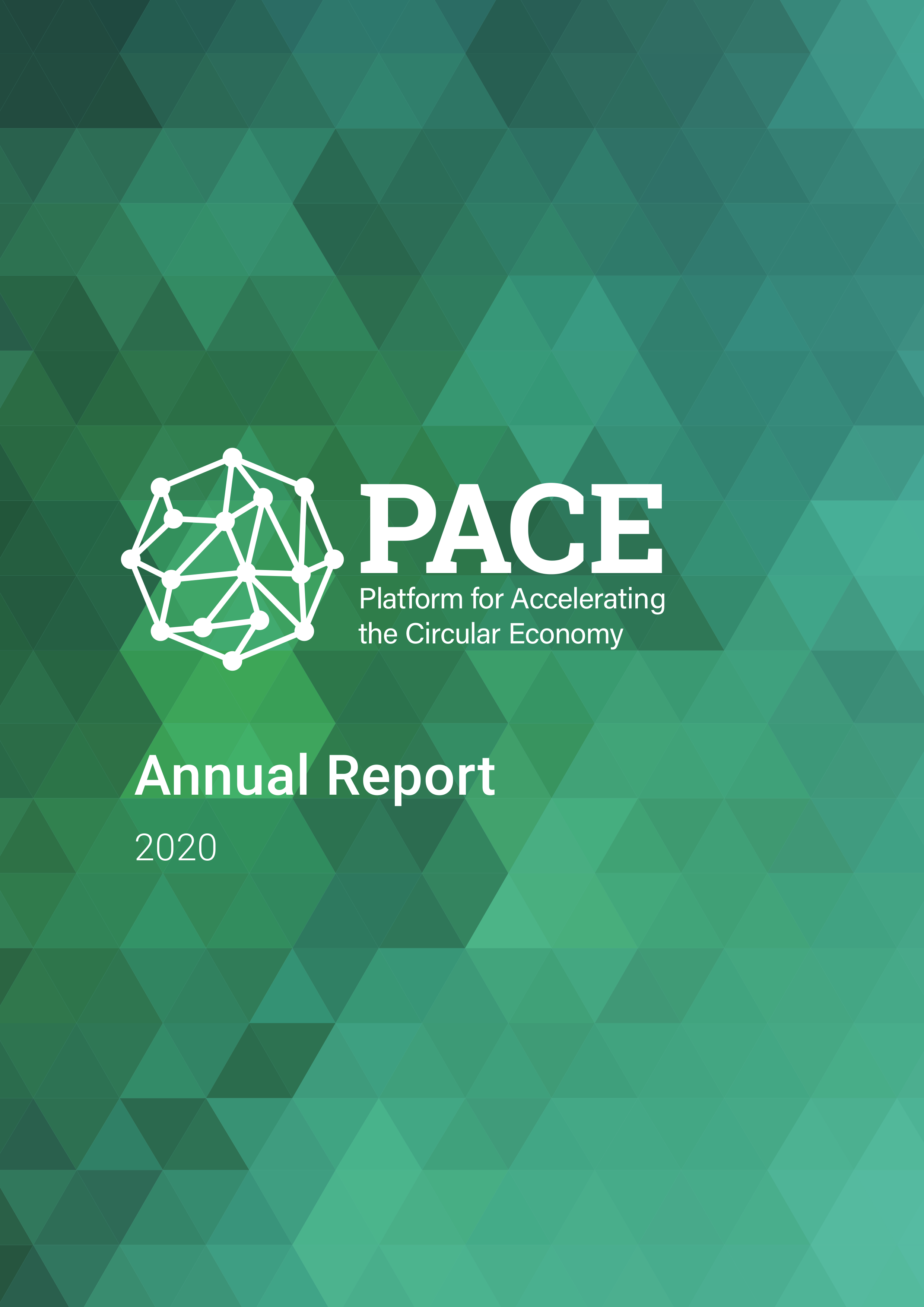 PACE Annual Report 2020