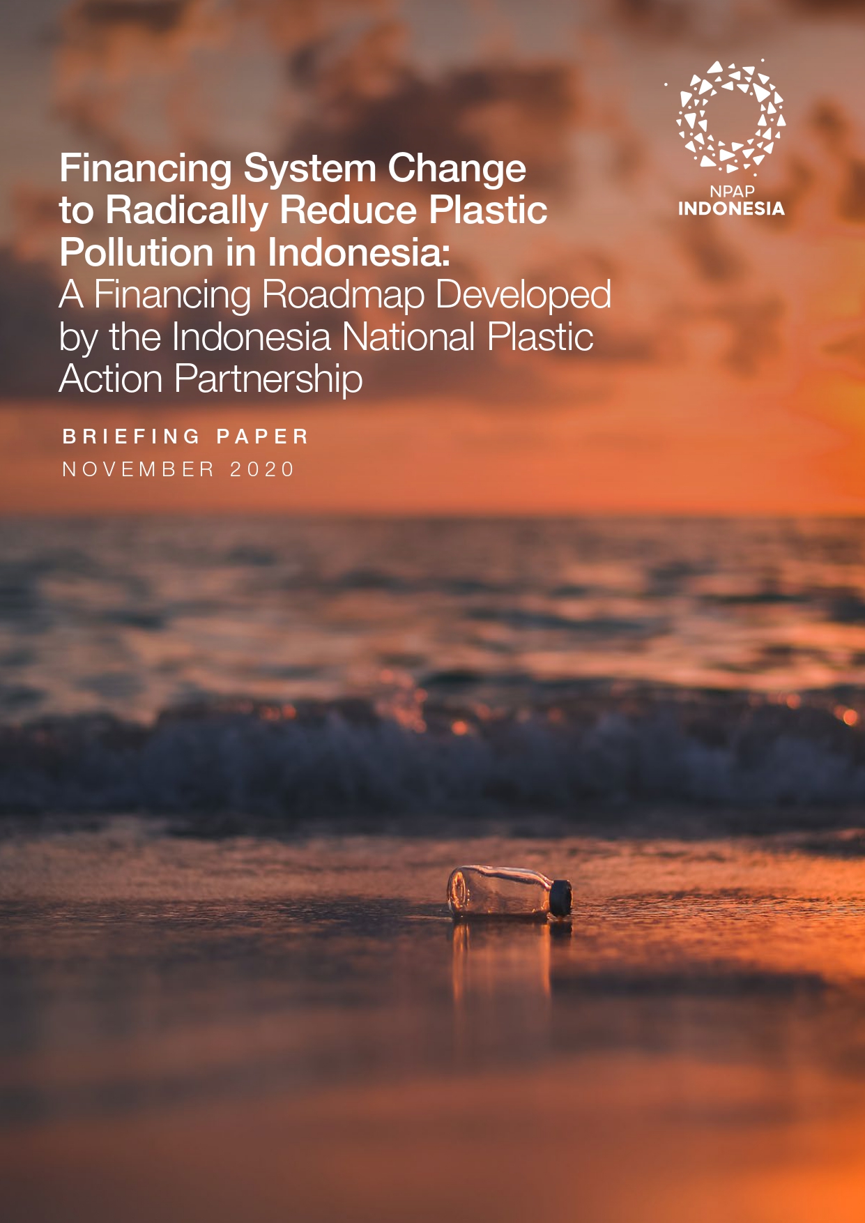 Financing System Change to Radically Reduce Plastic Pollution in Indonesia - November 2020