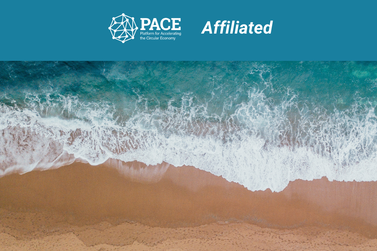 How to Transition to a Circular Economy for Plastics PACE