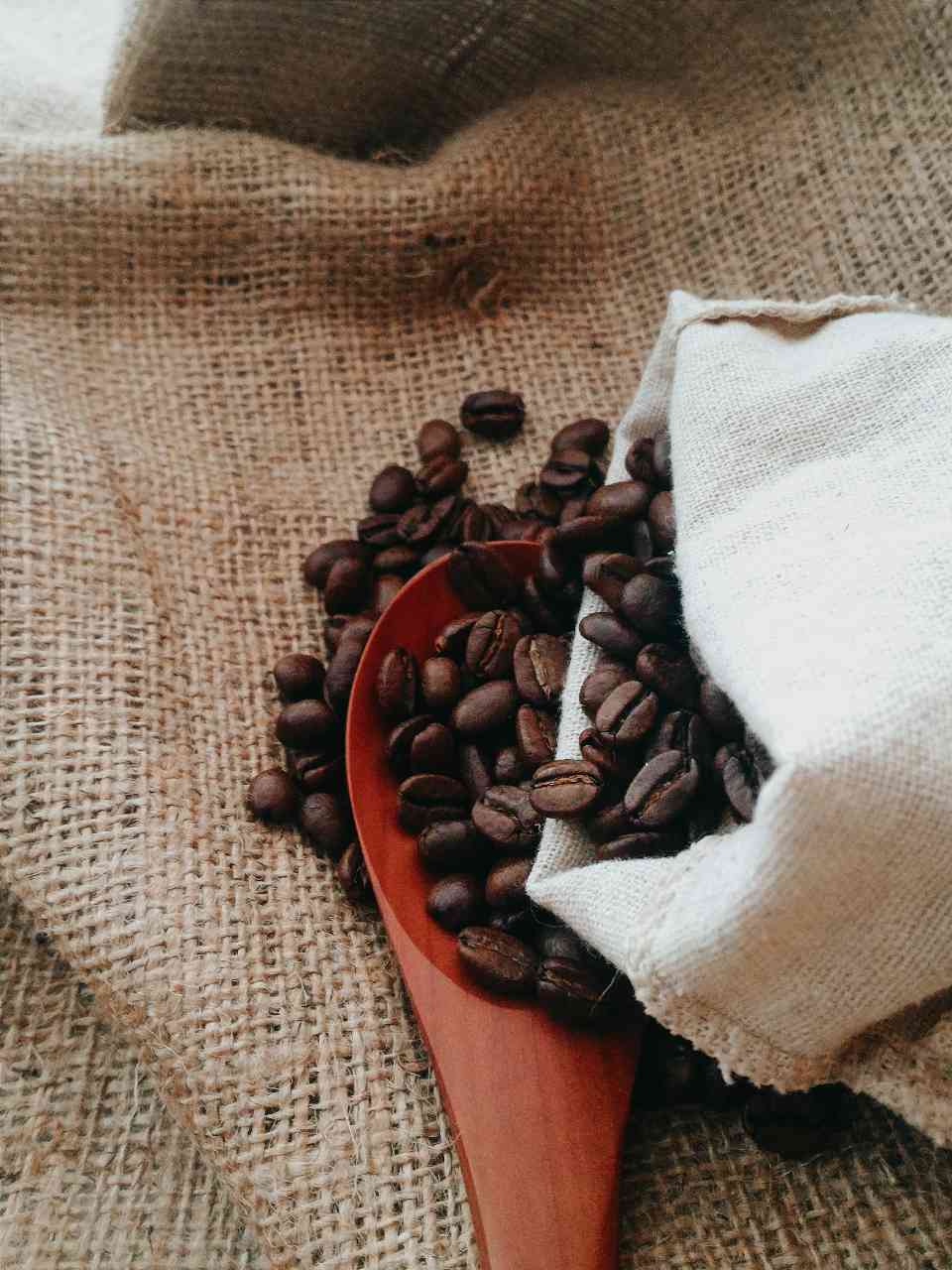 PACE projects image Circular Coffee from Peru: creating value across the chain